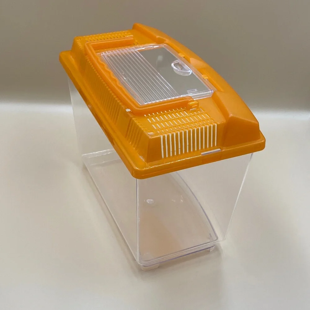 Clear Plastic Storage Container with Orange Lid pet, insect carrier, reptile.,